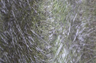 Bowling fibreglass roof work